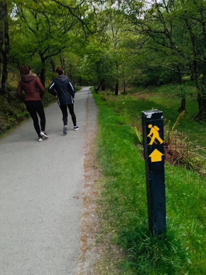 Wicklow Way Lodge Zewnętrze zdjęcie